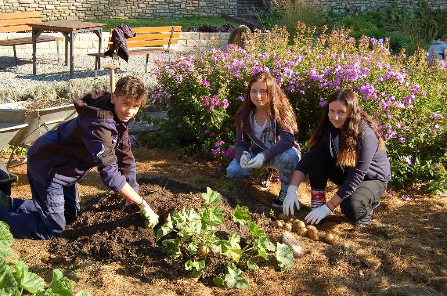 Der Schulgarten im Herbst 2018