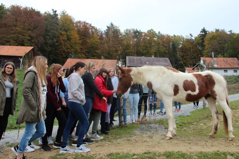 Exkursion 2. Klasse