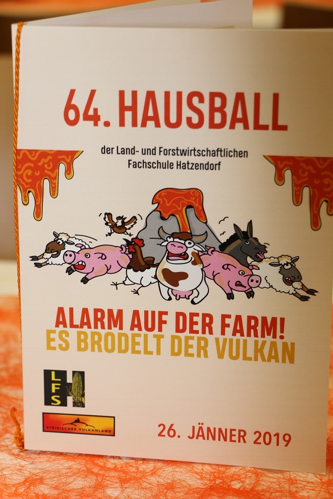 Hausball