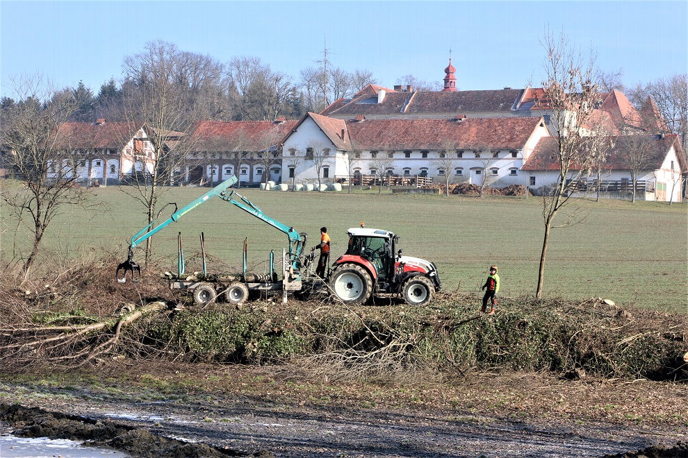 Fischteich