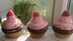 Schokolade-Himbeer-Cupcakes © FS Schloss Stein