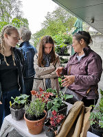 Pflanzenmarkt © FS Schloss Stein