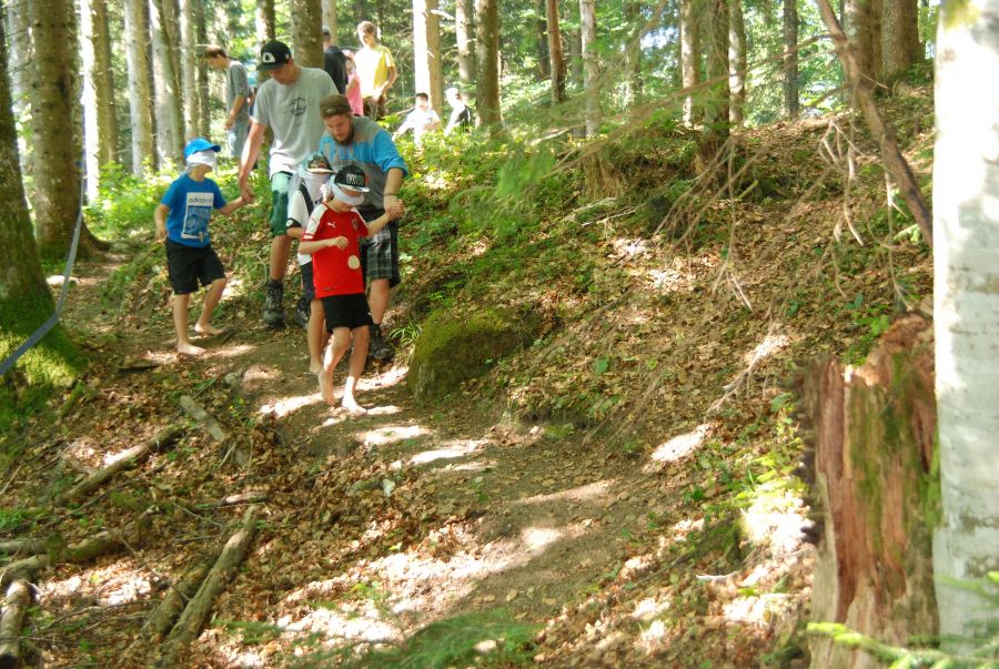 Waldpädak