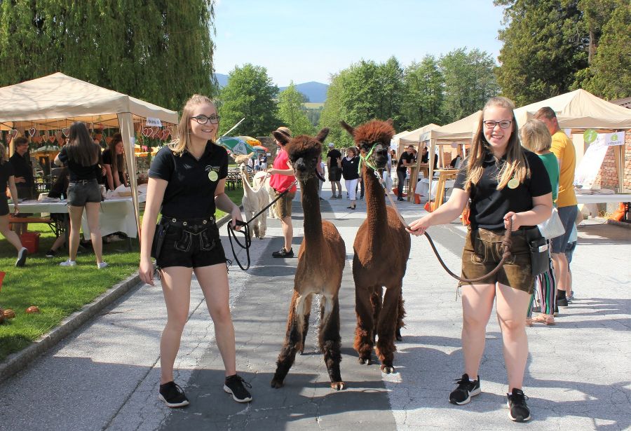 Genusskirtag beim Jogglandschulfest