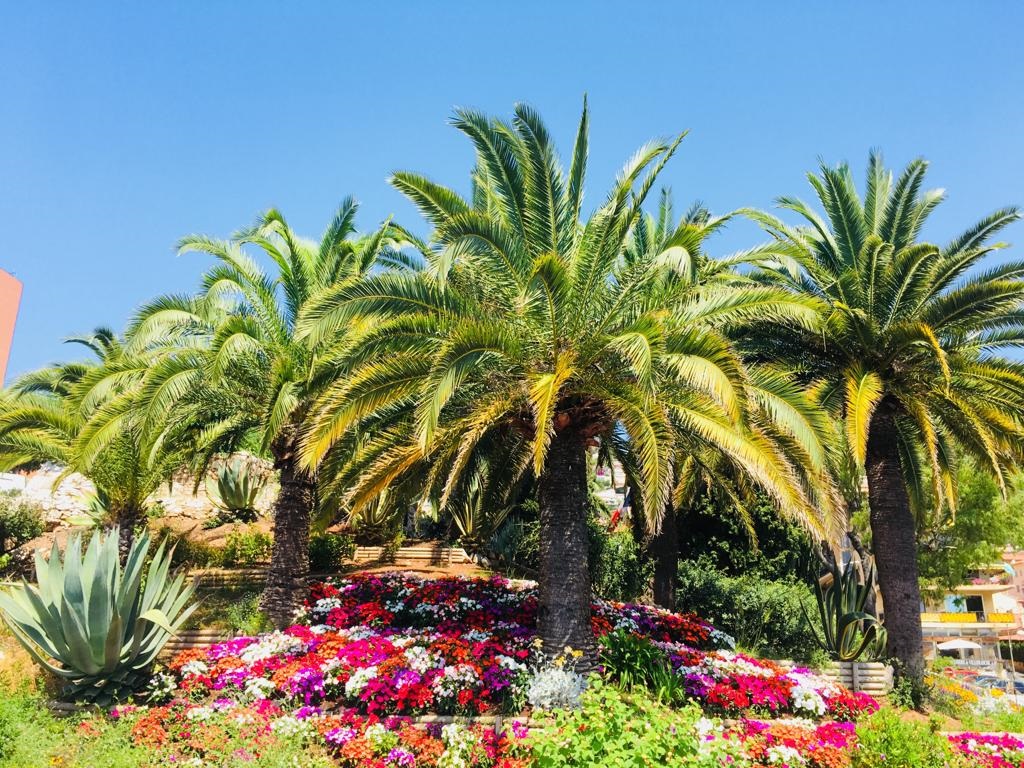 Nizza 2019