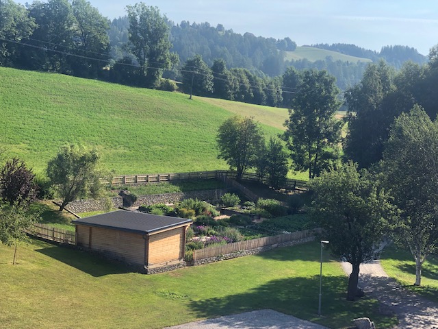 Unser wunderschöner Hausgarten im Juli 2019