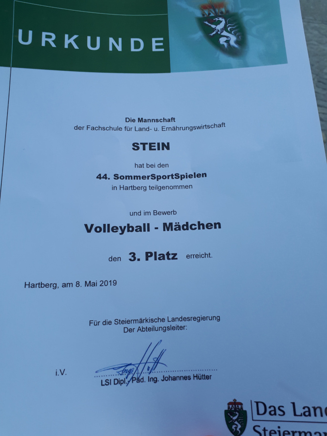 Sommersporttag 2019