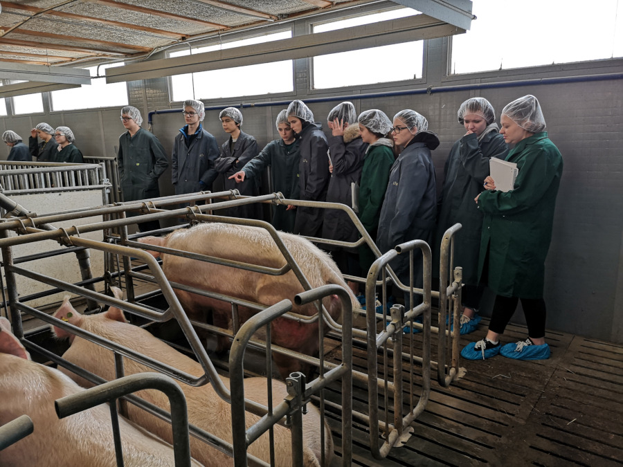 Fachexkursion "Tierhaltung" in die Fachschule Hatzendorf