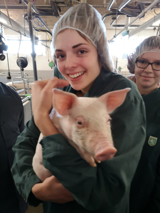 Fachexkursion "Tierhaltung" in die Fachschule Hatzendorf