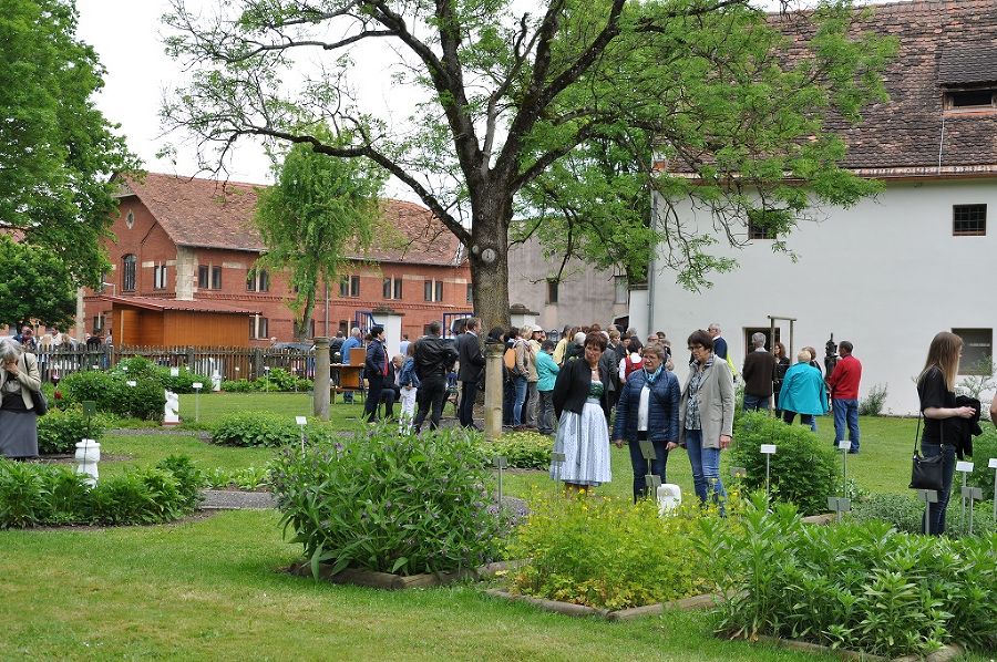 Schlossparkfest FS Halbenrain