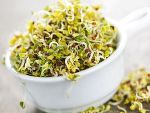 Sprossen © eatsmarter.de Sprossen © eatsmarter.de