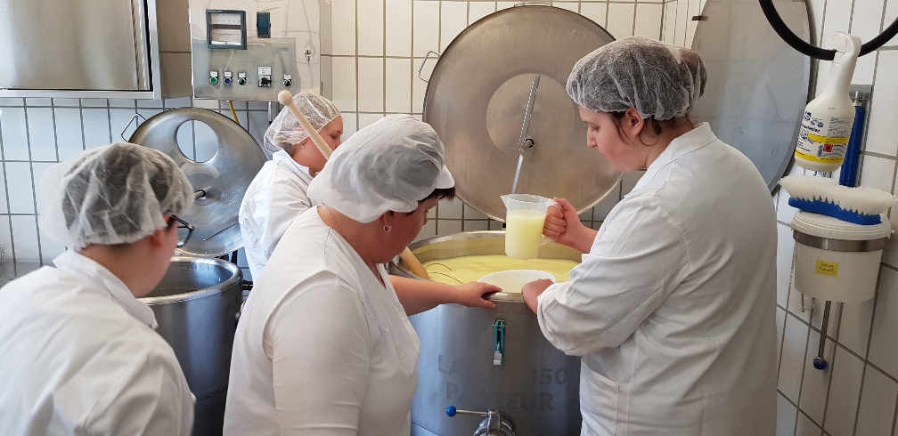 Projekt KäsekennerIn Projekt KäsekennerIn
