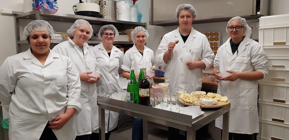 Projekt KäsekennerIn Projekt KäsekennerIn