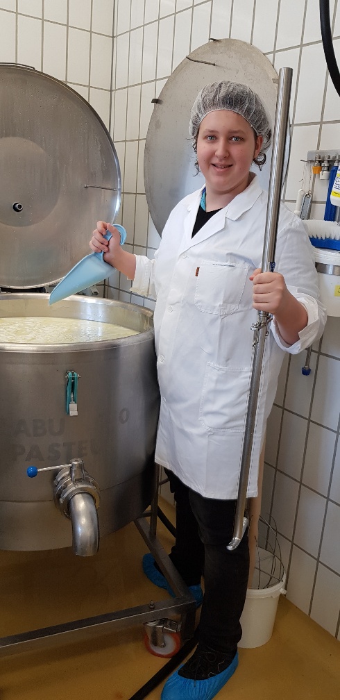 Projekt KäsekennerIn Projekt KäsekennerIn
