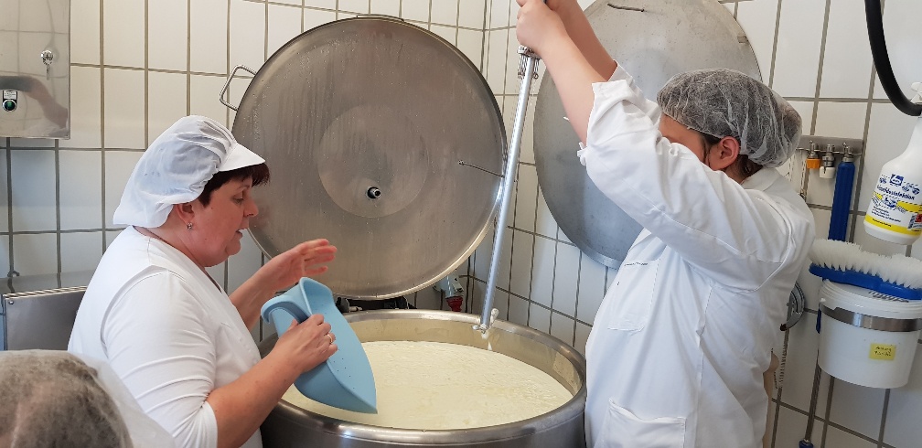 Projekt KäsekennerIn Projekt KäsekennerIn