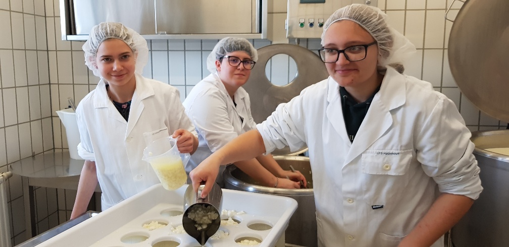 Projekt KäsekennerIn Projekt KäsekennerIn