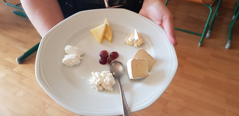 Projekt KäsekennerIn Projekt KäsekennerIn