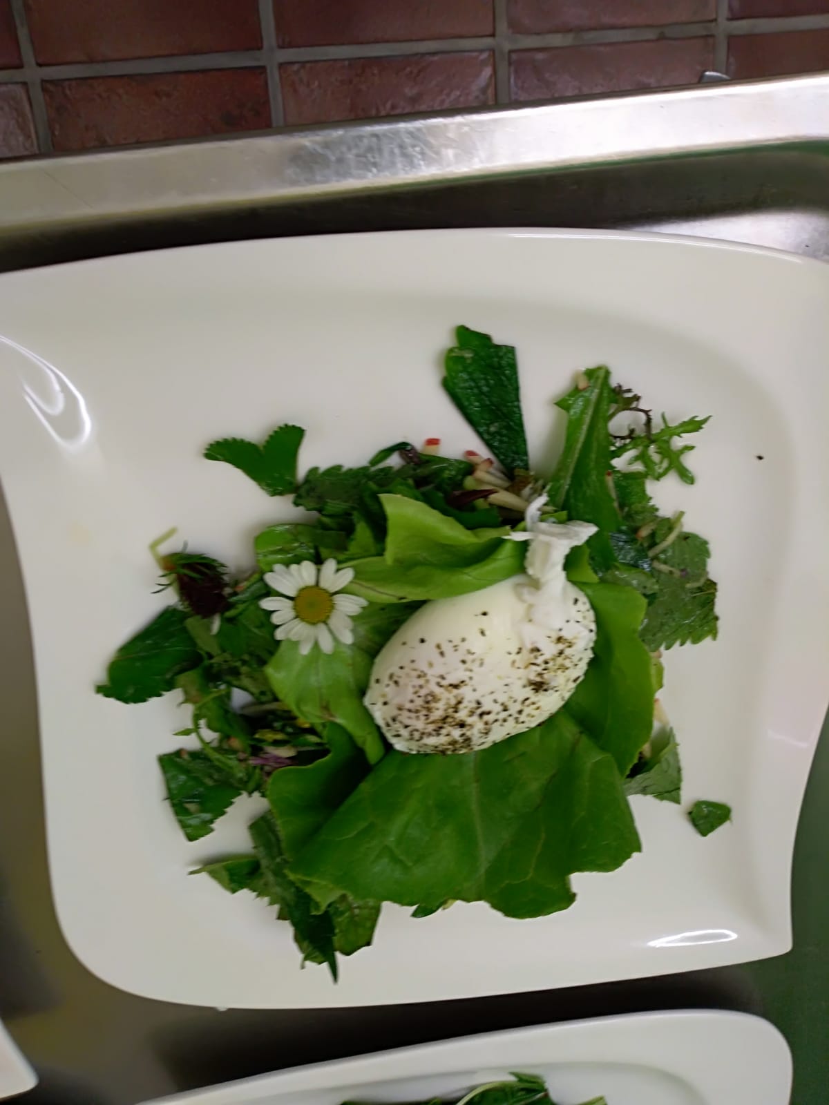 Pochierte Eier auf Wildkräutersalat
