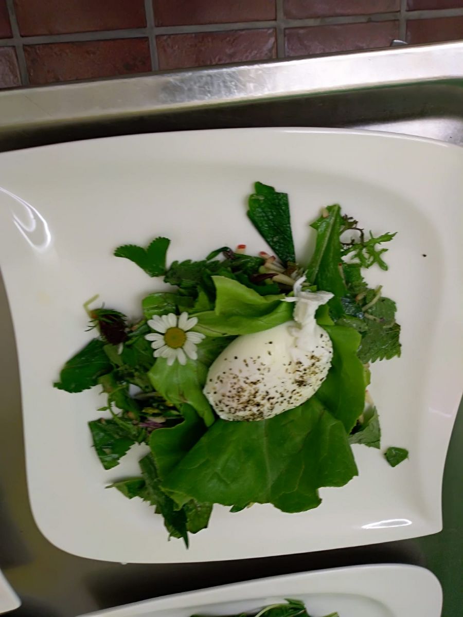 Pochierte Eier auf Wildkräutersalat Pochierte Eier auf Wildkräutersalat