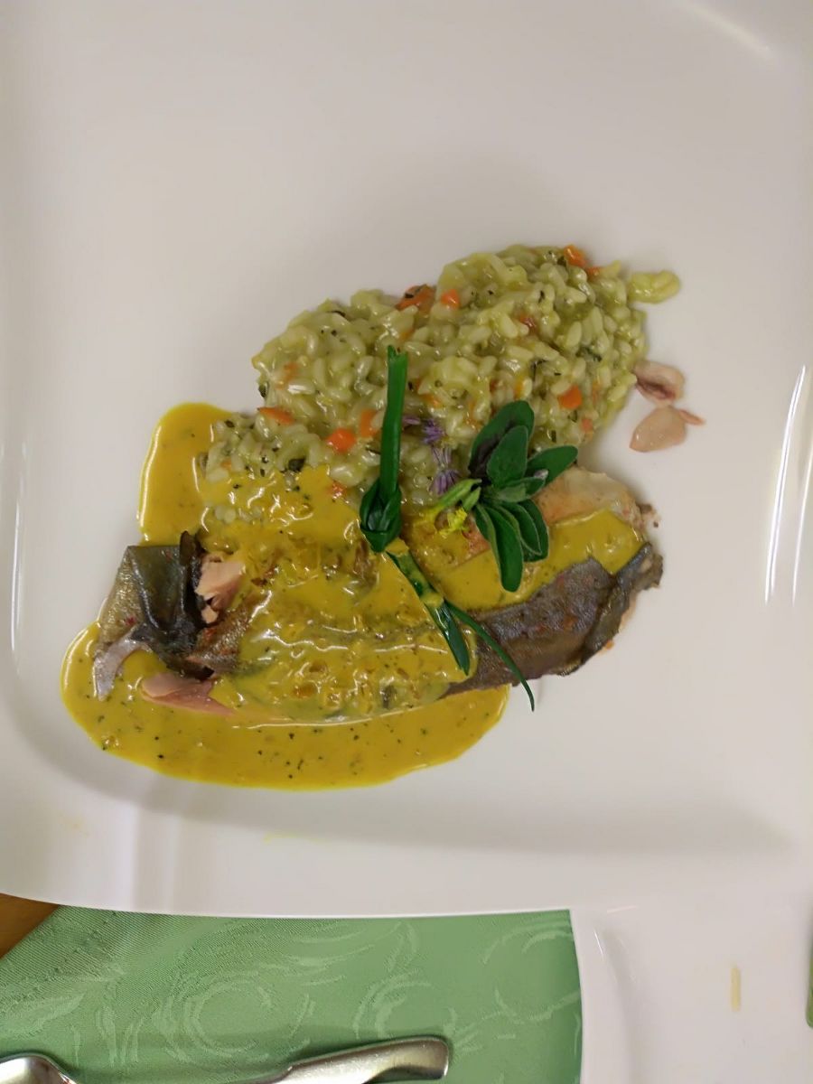 gebratener Saibling auf Kürbiskernrisotto mit Kurcumasauce