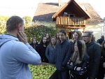 Obsthof Glanz-Pöltl © FS Schloss Stein