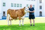 100.000 Liter Kuh © Baumann-Rinderzucht Steiermark