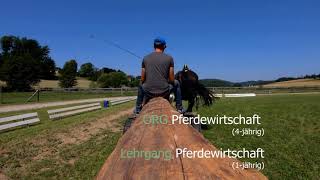 Pferdewirtschaft-Film © LFS Grottenhof