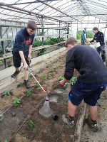 Gartenbau © LFS Kirchberg/Walde