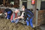 Tierbetreuung © LFS Kirchberg/Wald