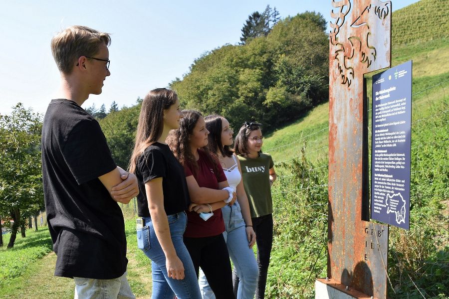 Schüler besichtigen den neuen Obst- und Weinlehrpfad