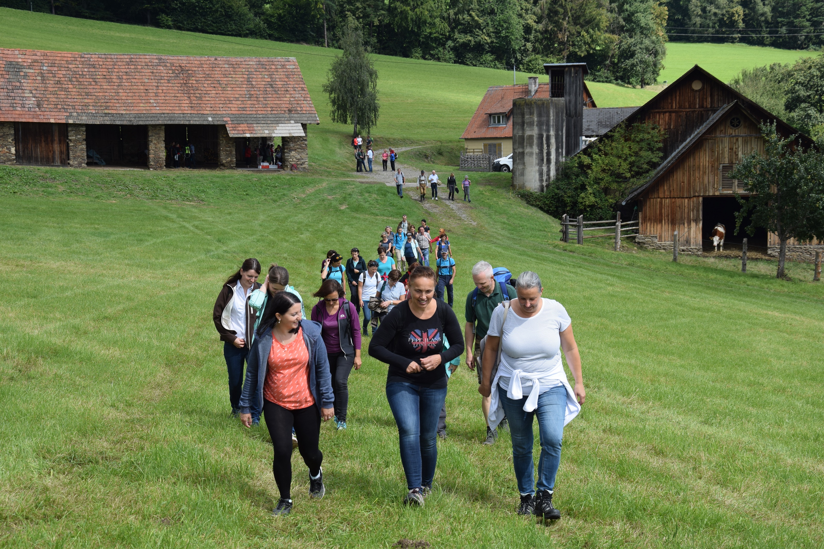 Almerlebniswanderung - Wanderung geht weiter