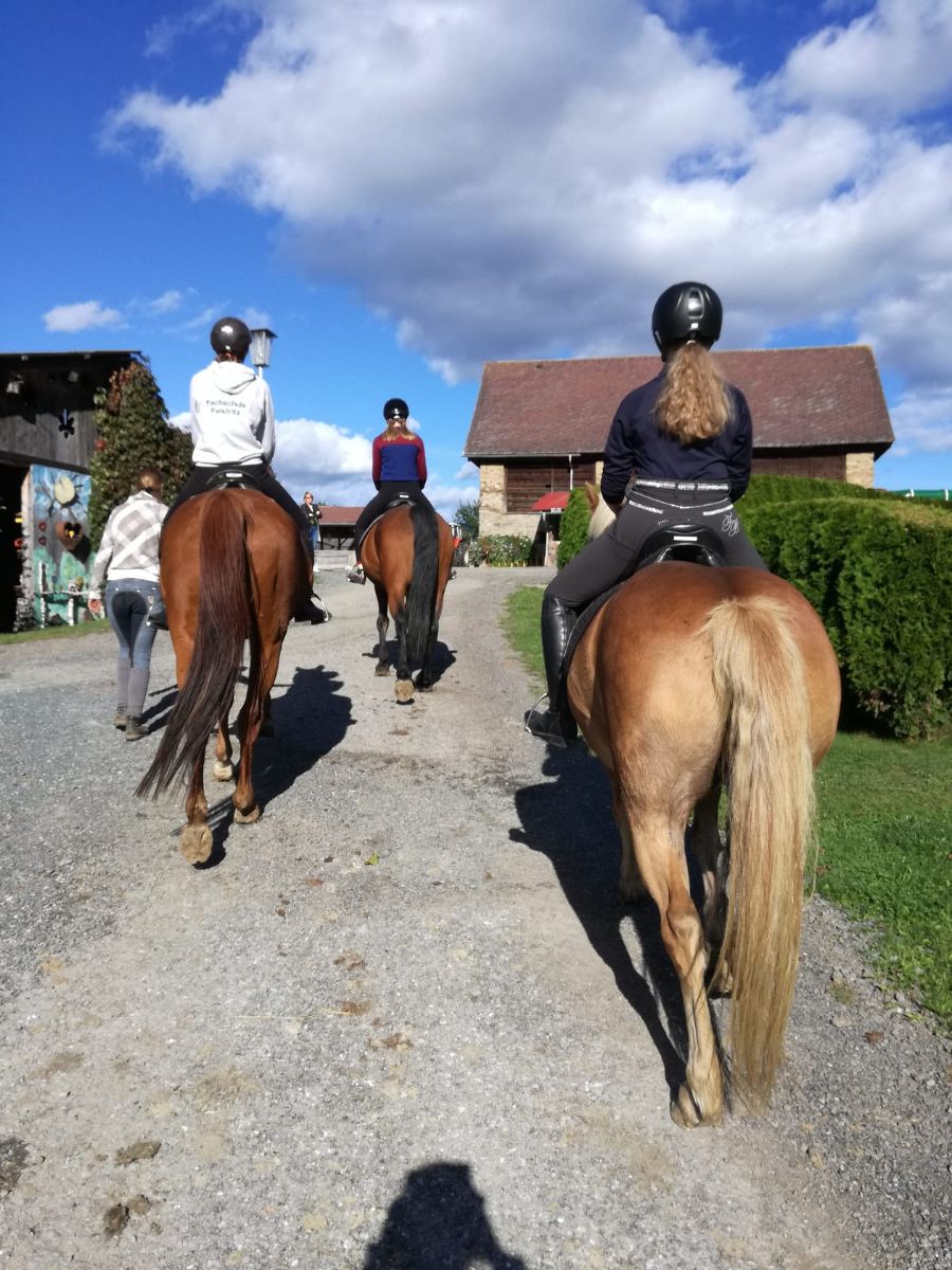 Reiten als Internatsprogramm