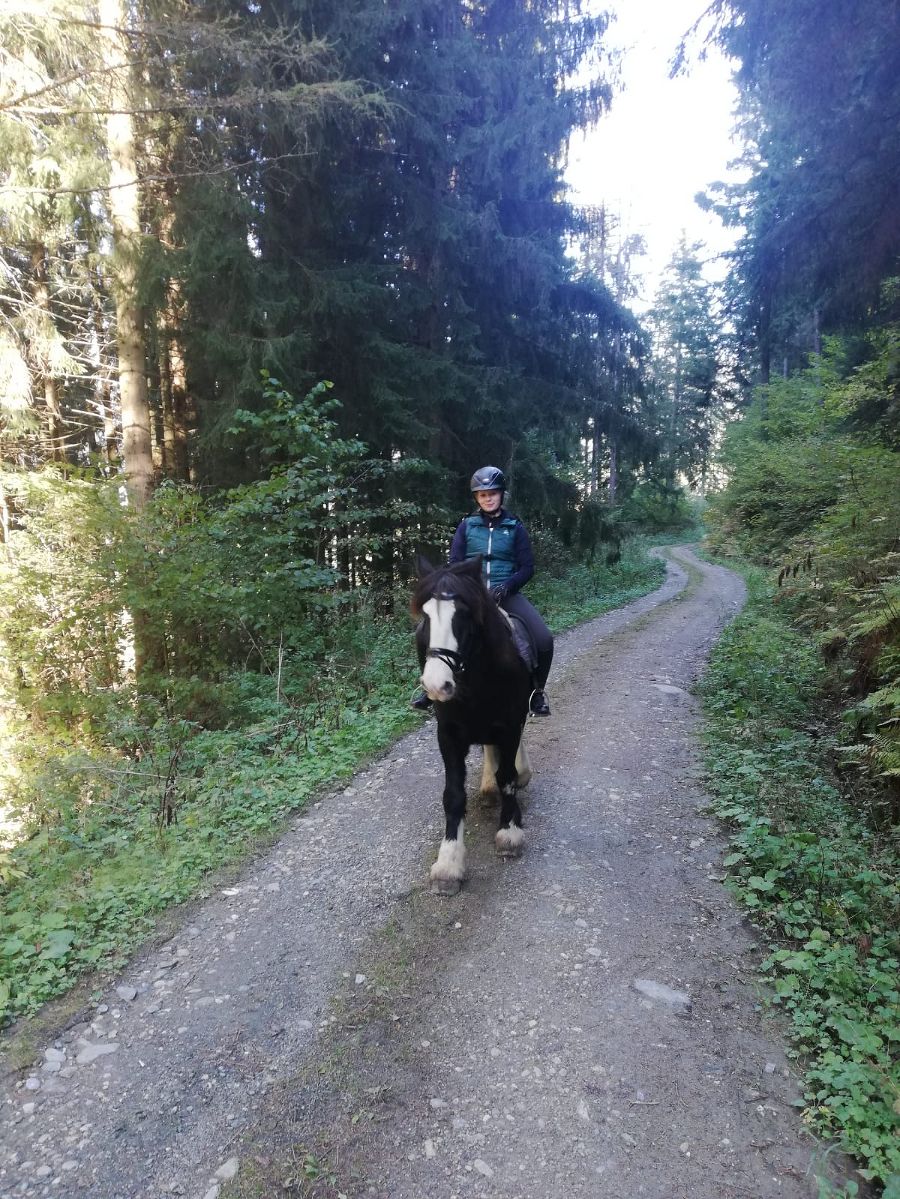 Reiten als Internatsprogramm