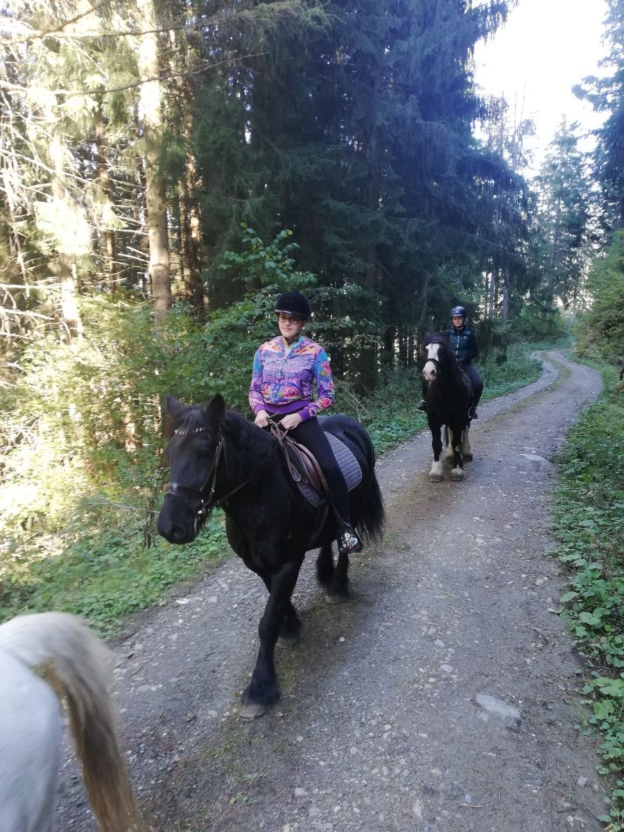 Reiten als Internatsprogramm