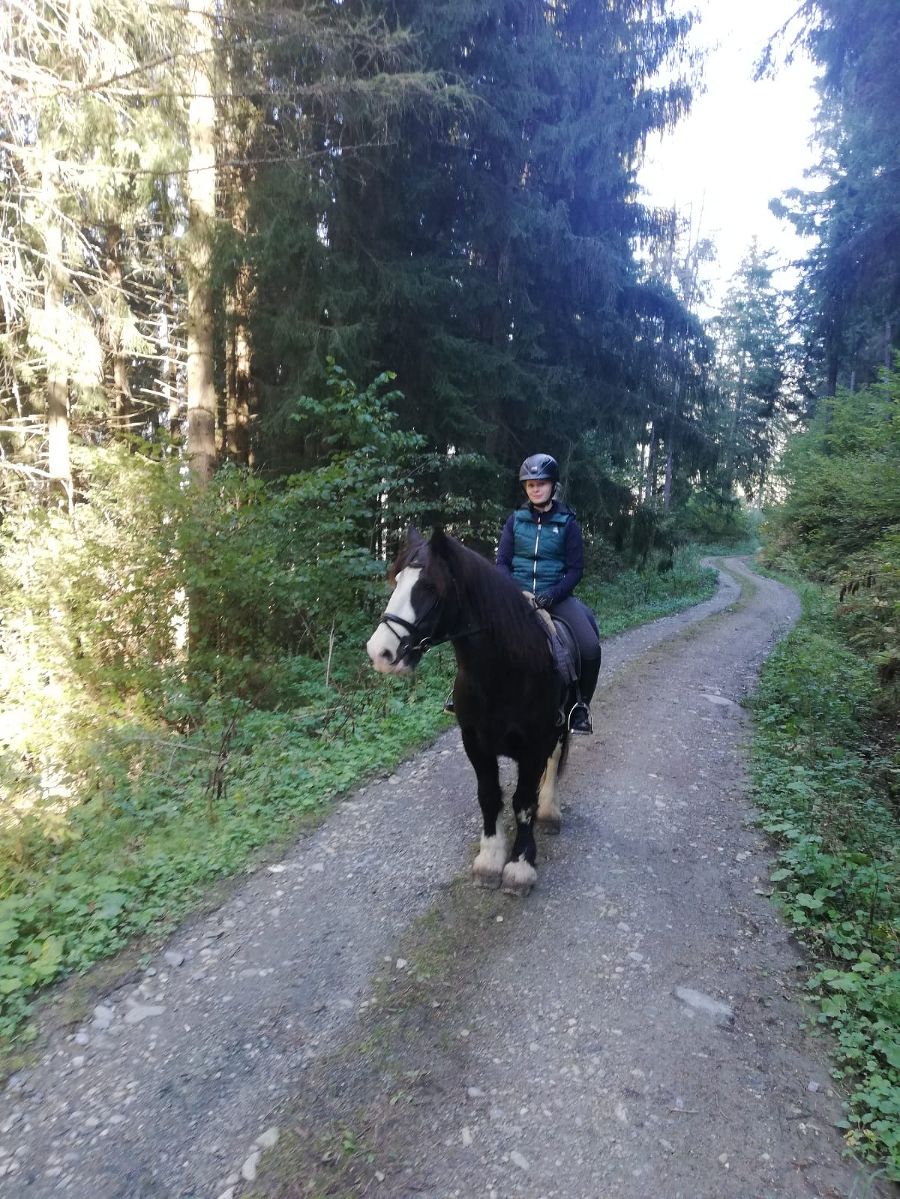 Reiten als Internatsprogramm