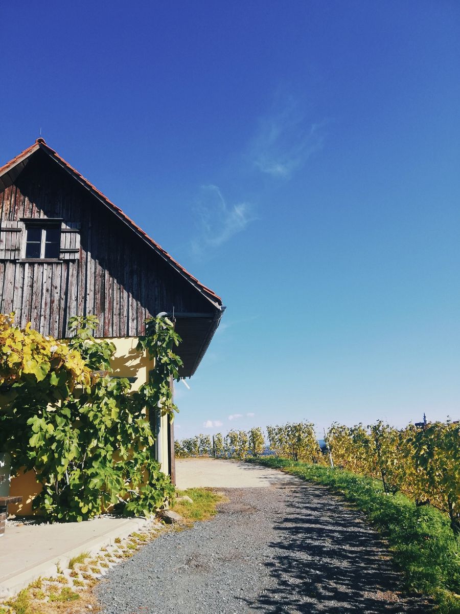 2. Siegerin Fotowettbewerb Obst- und Weinlehrpfad Sarah Hernach