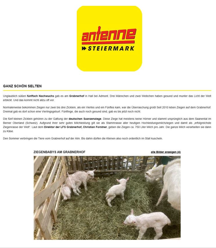 Antenne-Bericht