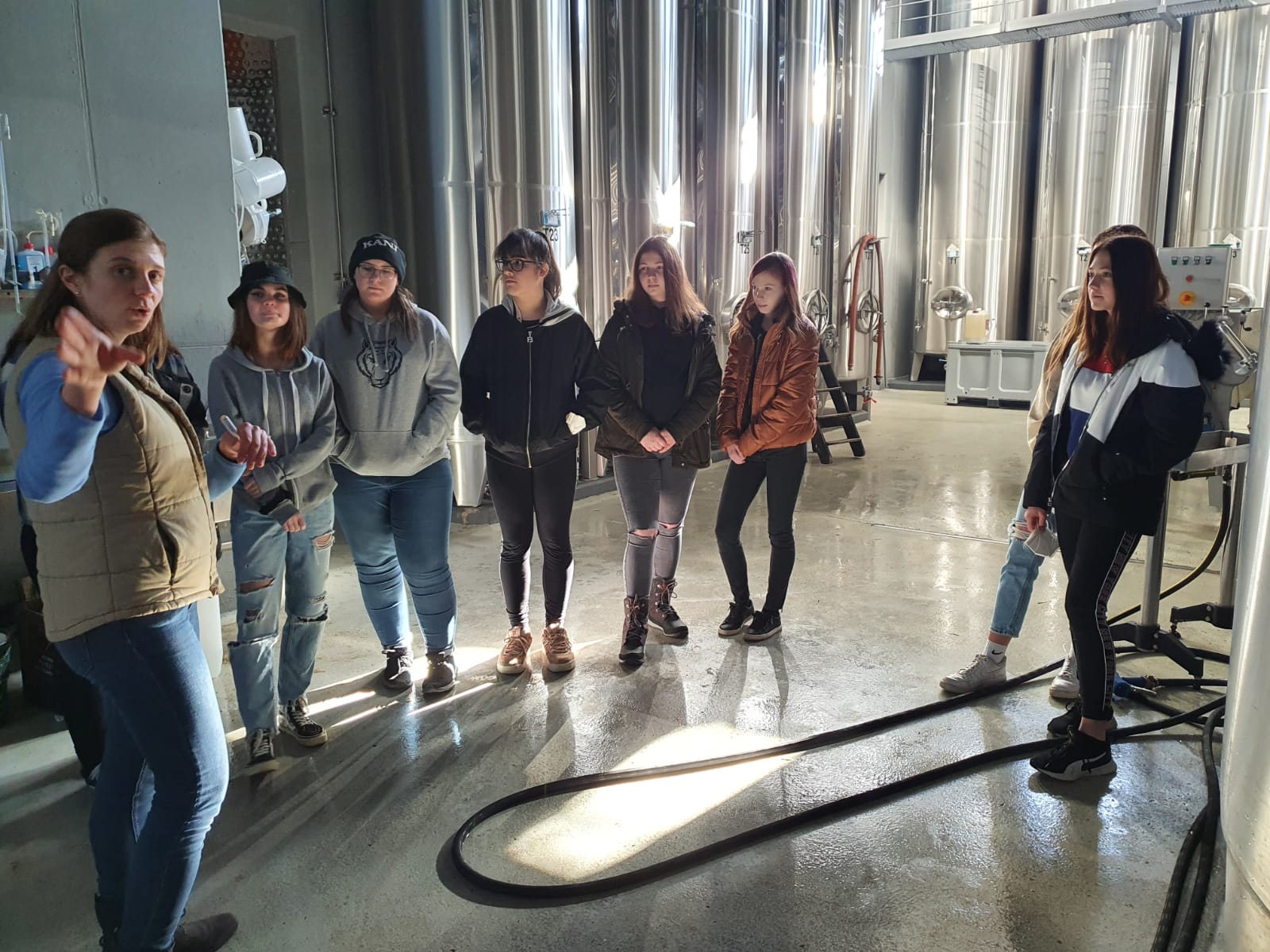 Jungsommeliers