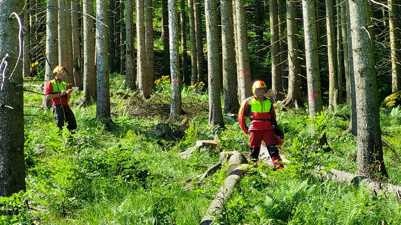 Forstfacharbeiterprüfung