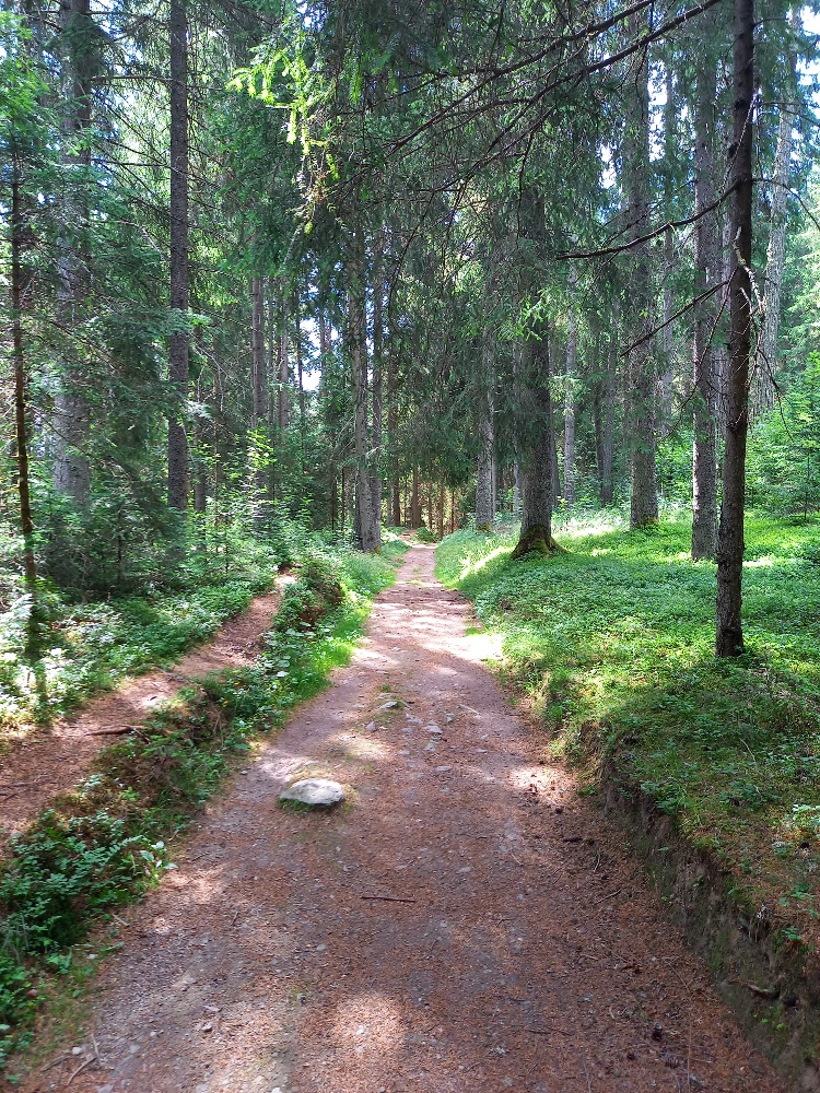 Erlebnistag 1. Klassen