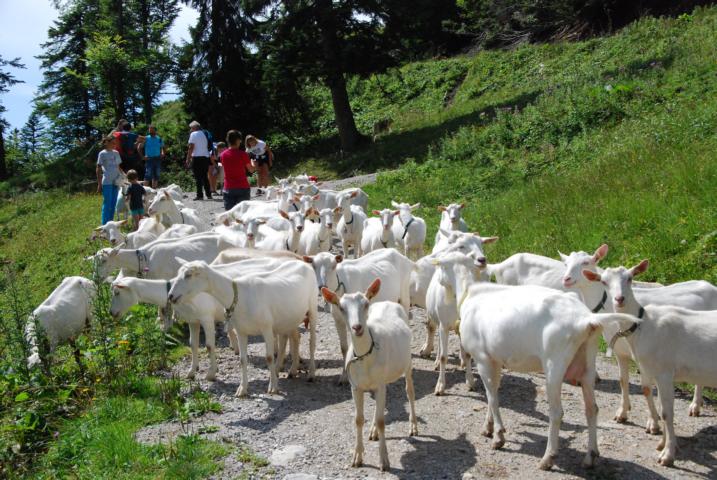 Wanderung Bauernbund