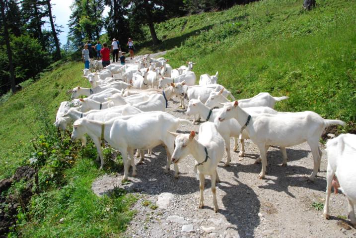 Wanderung Bauernbund