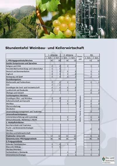 Stundentafel Weinbau