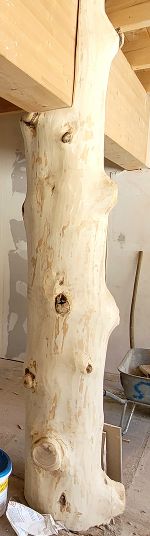 Aufstellen des Baumes im zukünftigen Hofladen
