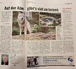Artikel Kleine Zeitung vom 30.03.2022 © Kleine Zeitung