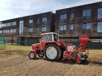 Projekt Dauerblühwiese FS Gröbming - Foto 2