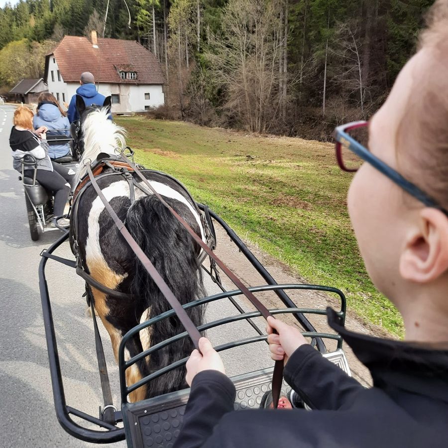 Internatsprogramm Kutschenfahrt