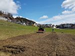 Projektstart Wildblumen in der FS Gröbming