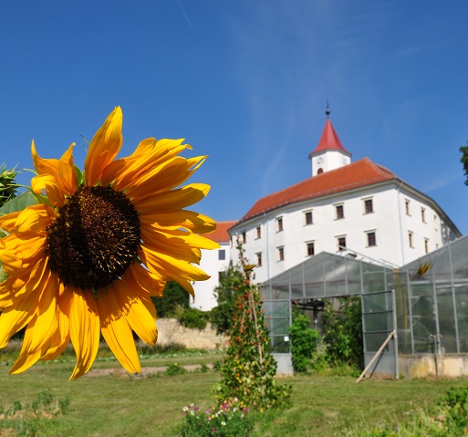 Aktuelles © LFS Kirchberg am Walde