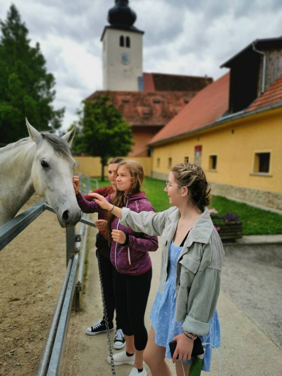 Für die 1a war die Weststeiermark das Ziel der 2tägigen Exkursion. Für die 1a war die Weststeiermark das Ziel der 2tägigen Exkursion.